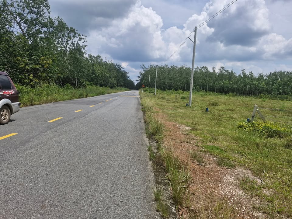 Đất nền Dầu Tiếng Bình Dương 200m² - Giá đầu tư hấp dẫn!