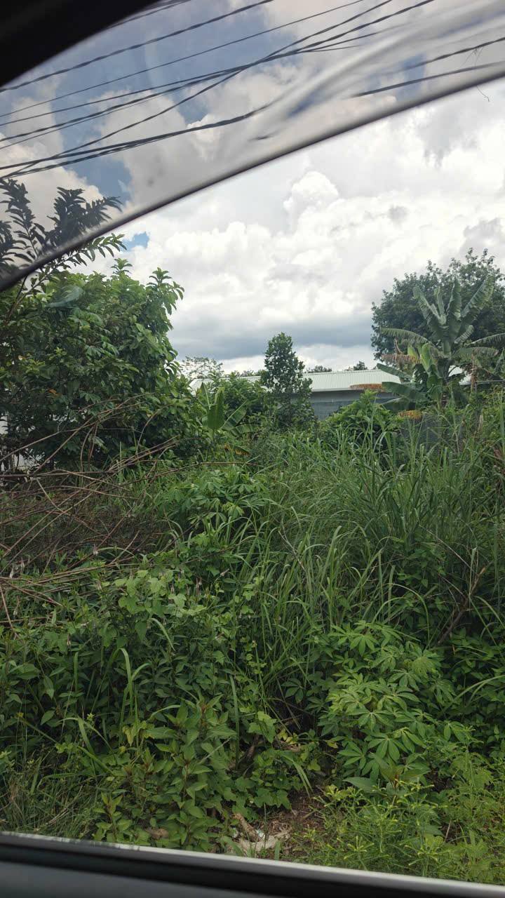 Đất thổ cư Lai Hưng Bàu Bàng 139m² giá 9xx triệu - Cơ hội sở hữu ngay!