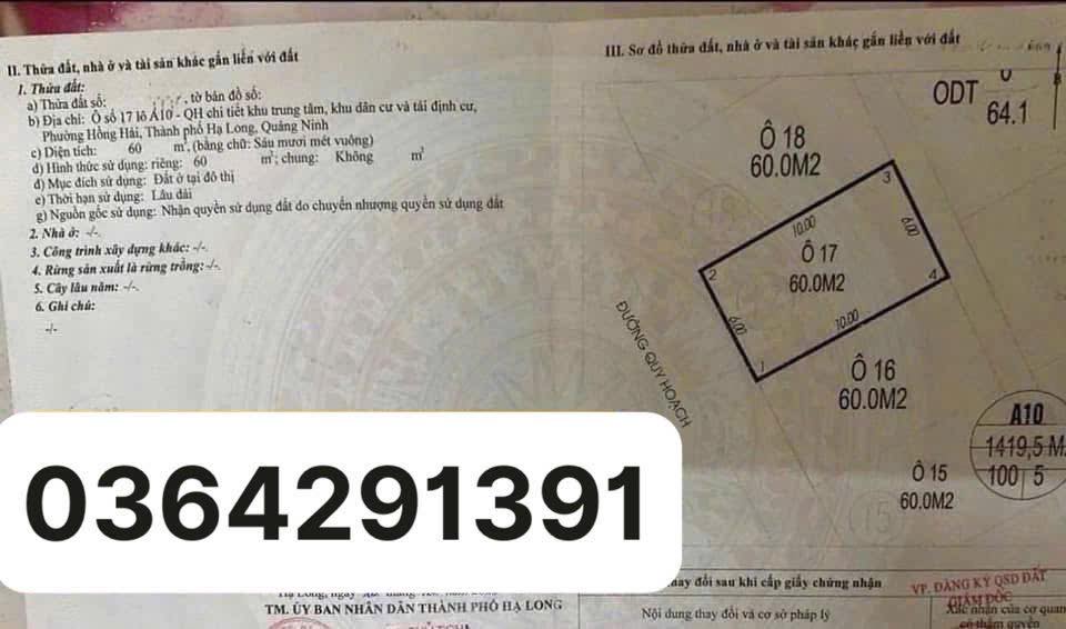 Đất TĐC Hồng Hải Hạ Long 60m² giá 9.x tỷ - Hướng Tây Nam view biển