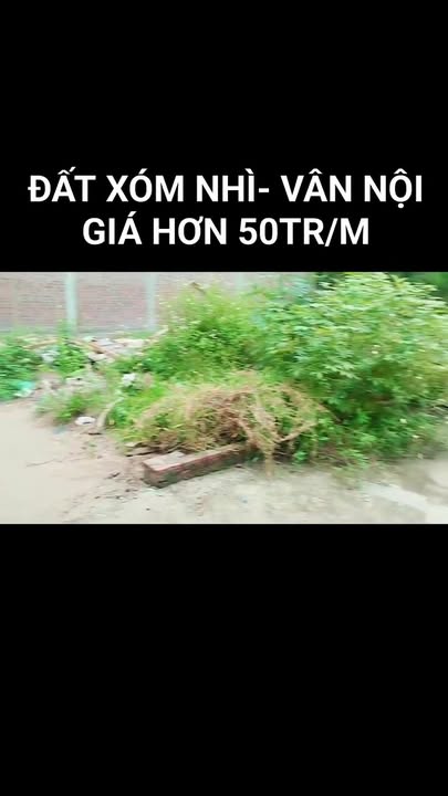 Đất thổ cư Vân Nội, Đông Anh 65,5m² giá chỉ 3.275 tỷ - Đầu tư sinh lời cao!