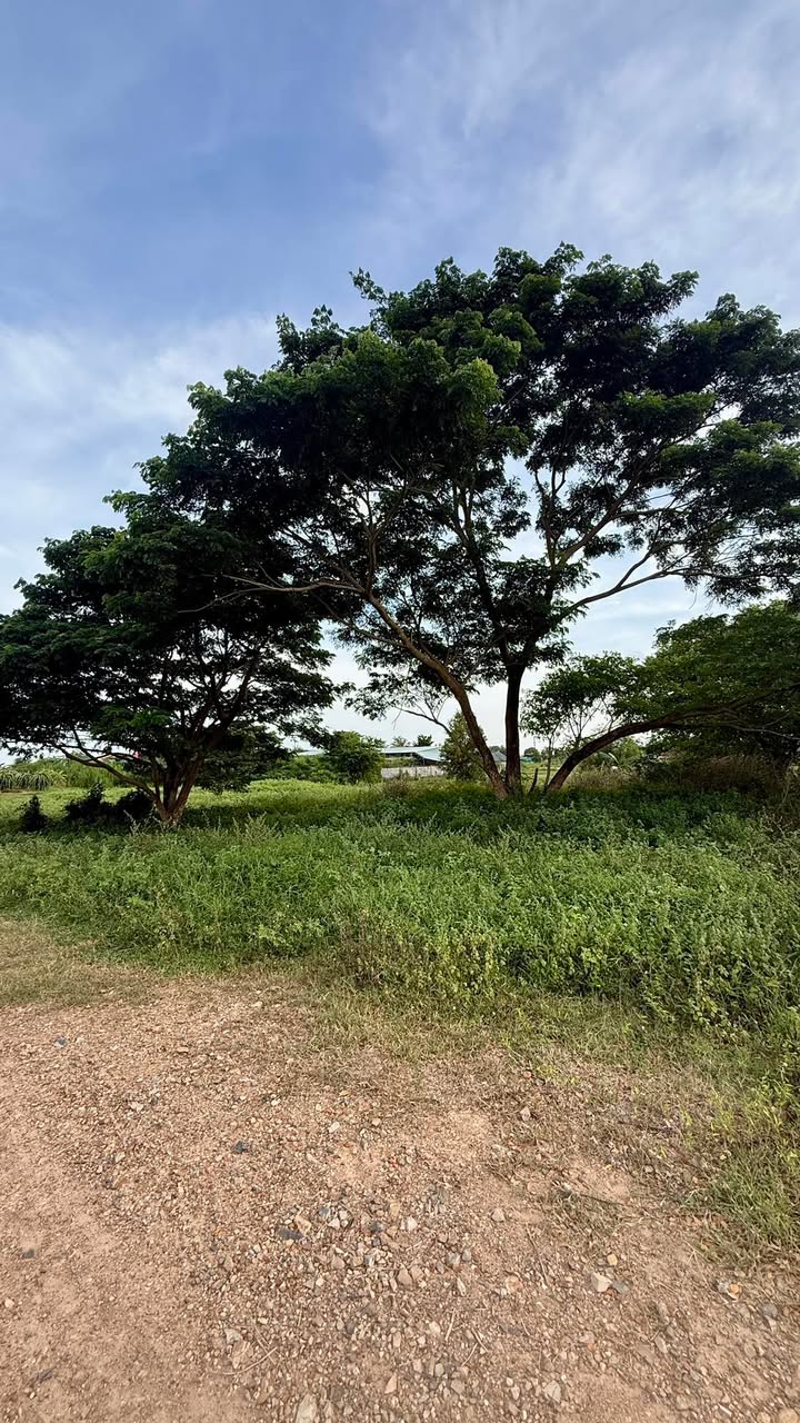 Đất thổ cư 500m² Thôn 1, Hàm Liêm giá 200 triệu - Đường ô tô tận nơi!