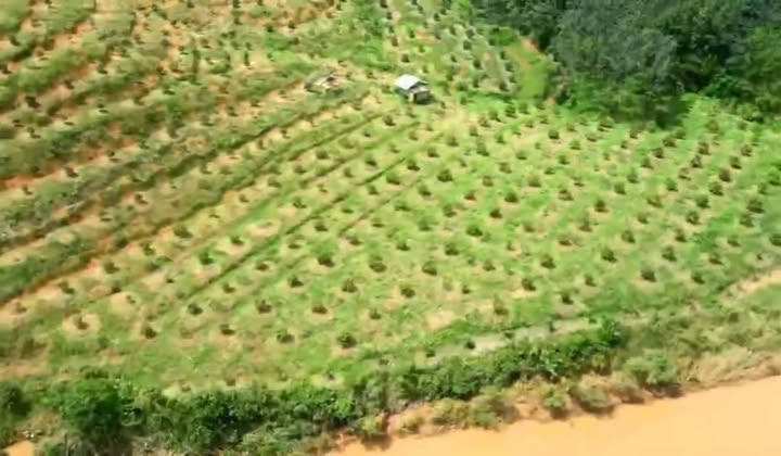 Đất nông nghiệp Phú Sơn, Bù Đăng 17ha giá 30 tỷ - Thương lượng tốt!