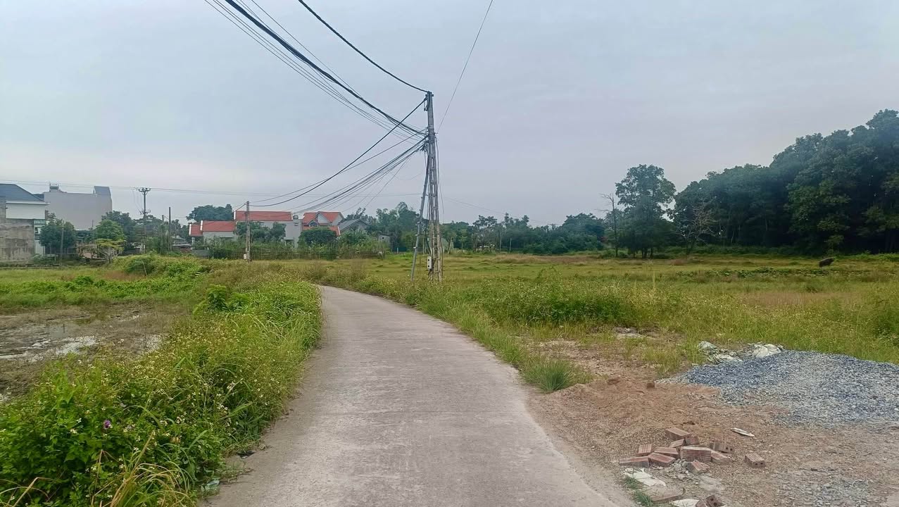 Đất nền khu phố 1 Hải Hòa Móng Cái 100m² giá 1 tỷ - Cơ hội đầu tư sinh lời!