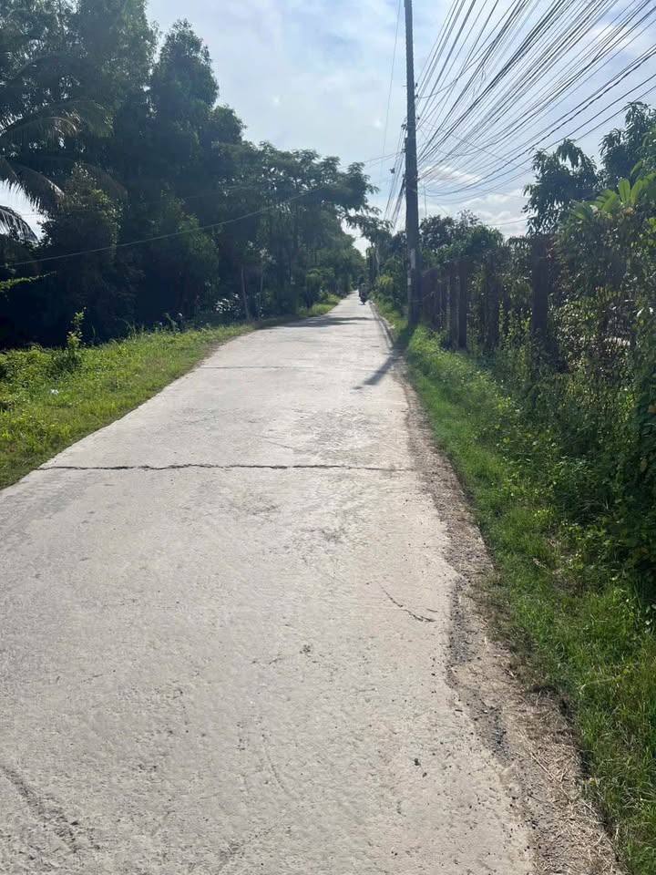 Đất nền thổ cư 100m² mặt tiền đường ấp 7 Nhựt Chánh giá 650 triệu - Đầu tư sinh lời ngay!