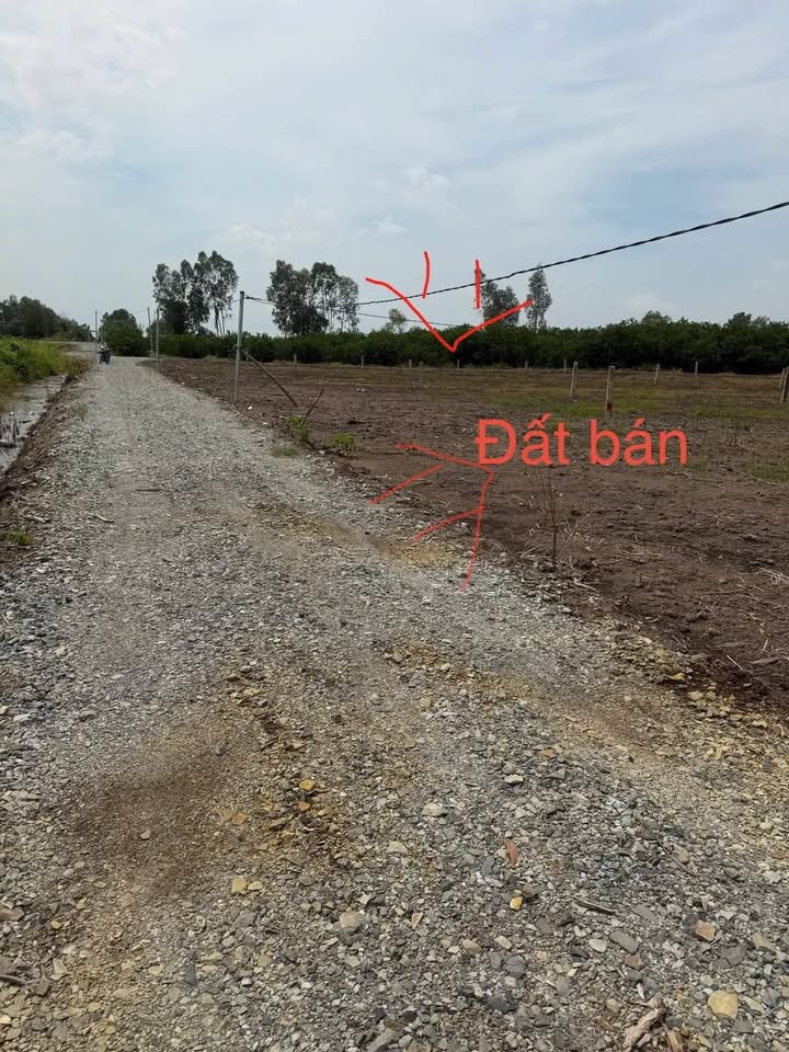 Đất vườn Bình Đức, Bến Lức 500m² giá chỉ 390 triệu - Đầu tư sinh lời ngay!