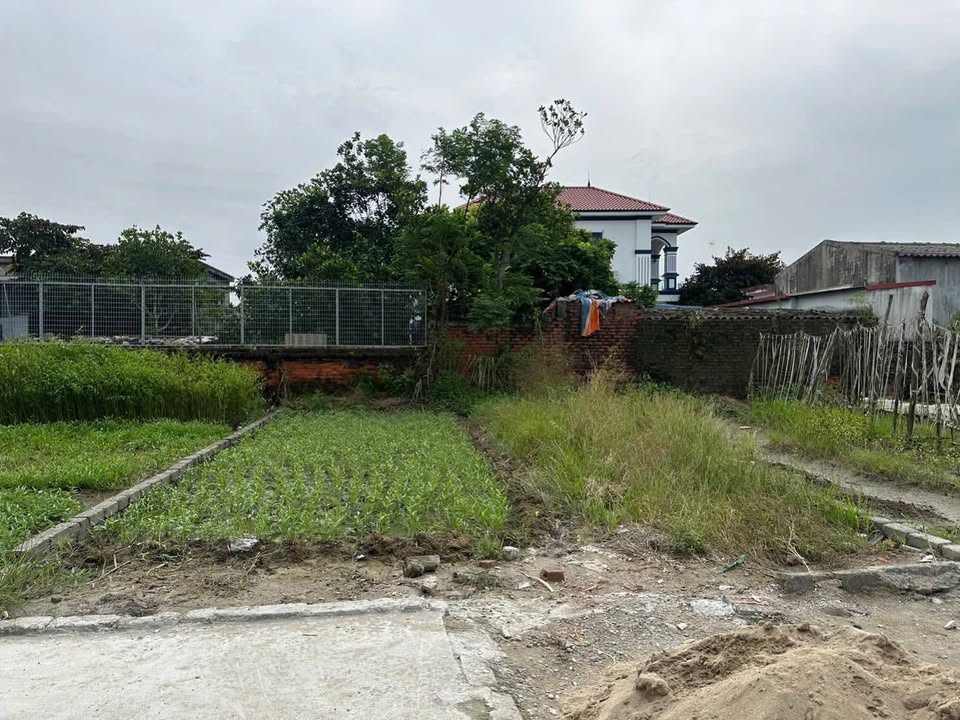 Đất nền Quang Hưng An Lão 66,9m² giá 700 triệu - Đầu tư sinh lời ngay!