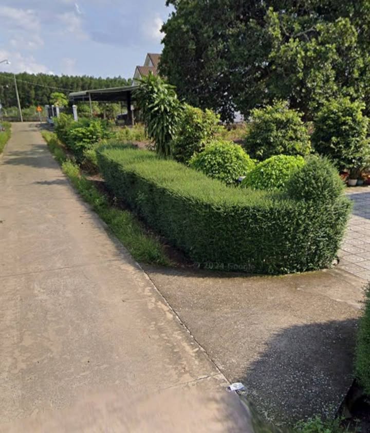 Đất nền Long Thành 2000m² giá 5.8 tỷ - Cơ hội đầu tư hấp dẫn!