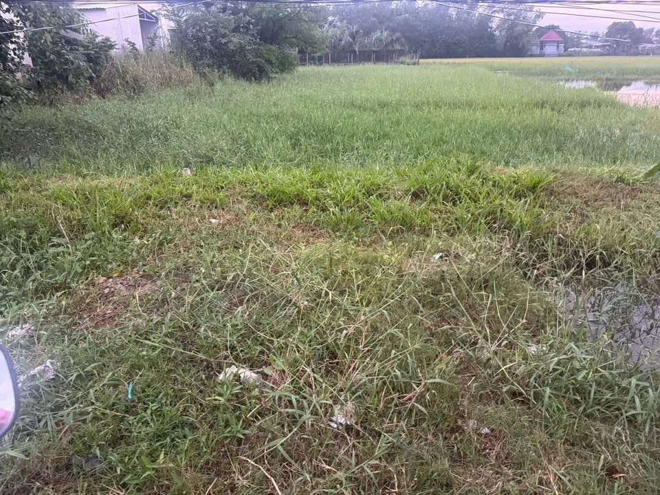 Đất mặt tiền Giồng Lớn, xã Mỹ Hạnh, 160m² giá 1.55 tỷ - Cơ hội đầu tư tuyệt vời!