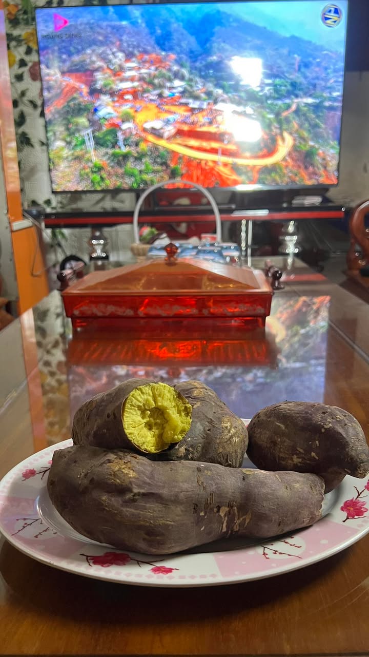 Đất thổ cư Lộc An, Lộc Ninh 5000m² giá chỉ 600 triệu - Sổ đỏ chính chủ!