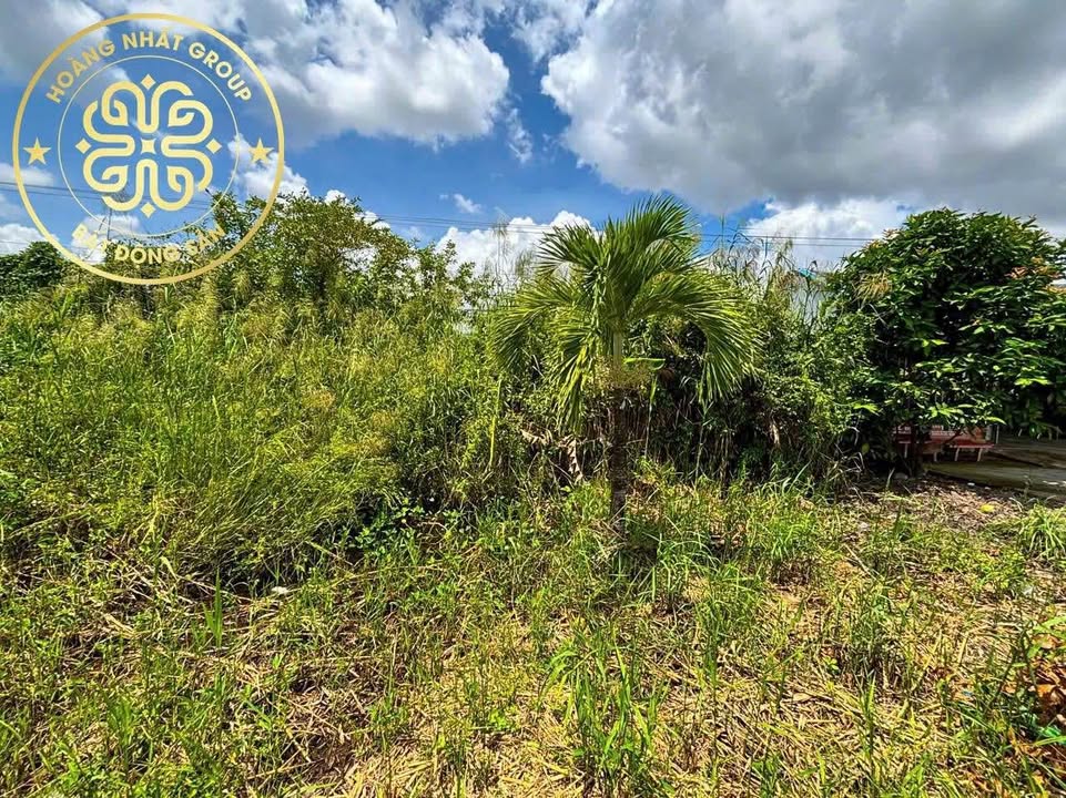 Đất nền mặt tiền Quốc Lộ 1A, Cái Nước, 3820m² giá 4 tỷ - Đầu tư sinh lời cao!