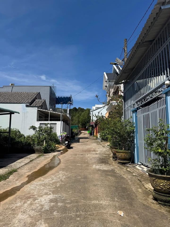 Đất nền Cây Thông Trong Phú Quốc 200m² chỉ 1.3 tỷ - Cơ hội vàng đầu tư