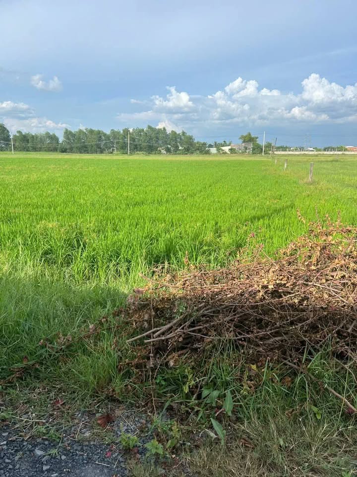 Đất nền Hòa Khánh Đông 1060m² giá 2 tỷ - Sổ đỏ chính chủ, đầu tư sinh lời!