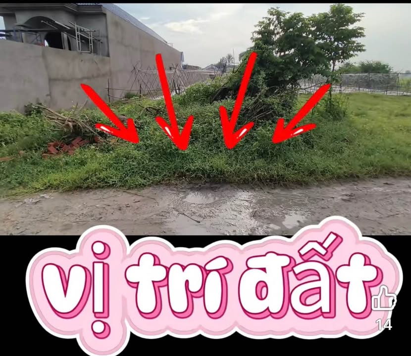 Đất vườn Lục Viên, Đức Hòa 975m² giá 2.7 tỷ - Cơ hội đầu tư tuyệt vời!