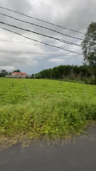 Đất nền Phước Hải 2005m² giá chỉ 6 tỷ - Cơ hội đầu tư tuyệt vời!