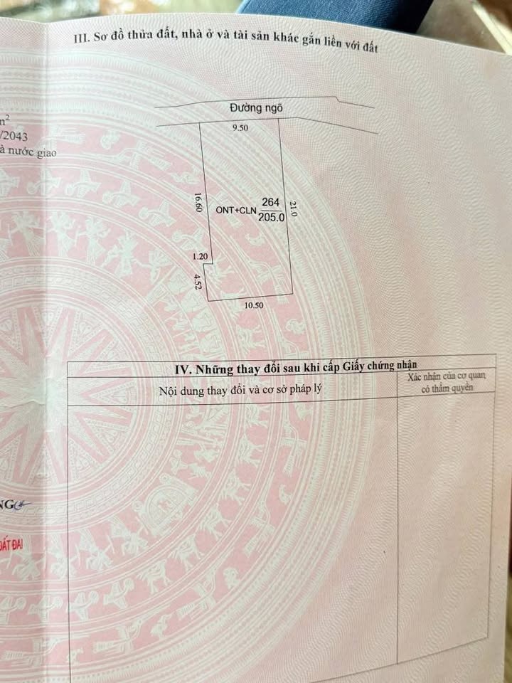 Đất thổ cư Thôn Riễu, Dĩnh Trì, Bắc Giang 205m² giá chỉ 3 tỷ - Cơ hội đầu tư hấp dẫn!