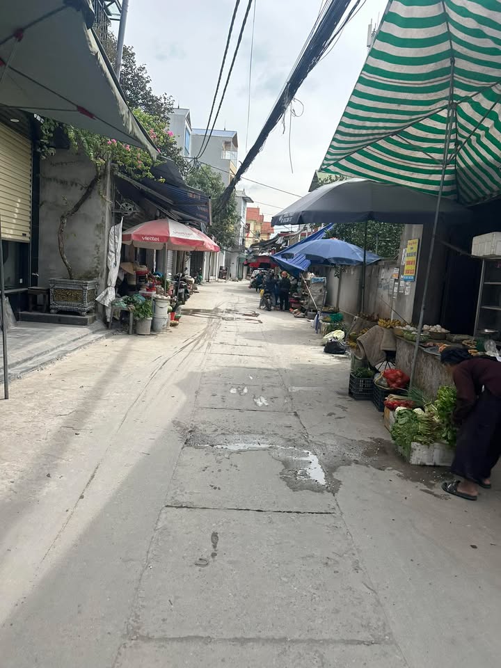 Đất Kim Chung Đông Anh 50m² giá 3 tỷ - Sổ đỏ chính chủ, oto đỗ cửa!