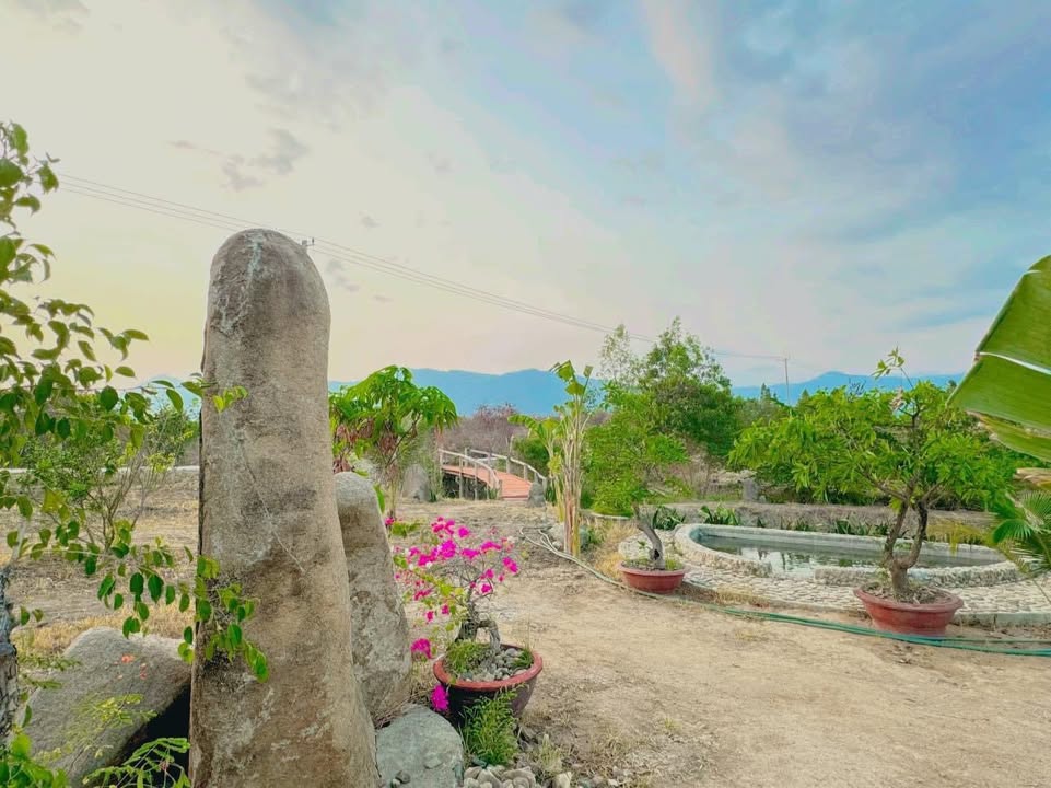 Đất Ninh Tây, Ninh Hòa 4000m² giá thỏa thuận - View suối, hồ cá đẹp!