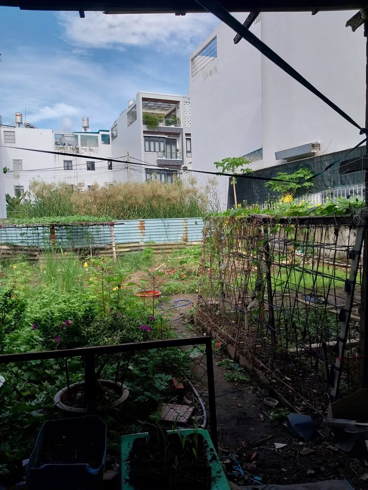 Đất Phú Xuân Nhà Bè 300m² giá 4 tỷ - Mặt tiền đường nhựa, tiện ích đầy đủ!