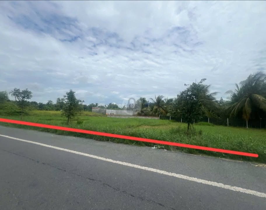 Đất mặt tiền đường Tl883, Châu Thành, Bến Tre 991m² giá 5.5 tỷ - Cơ hội đầu tư tuyệt vời!