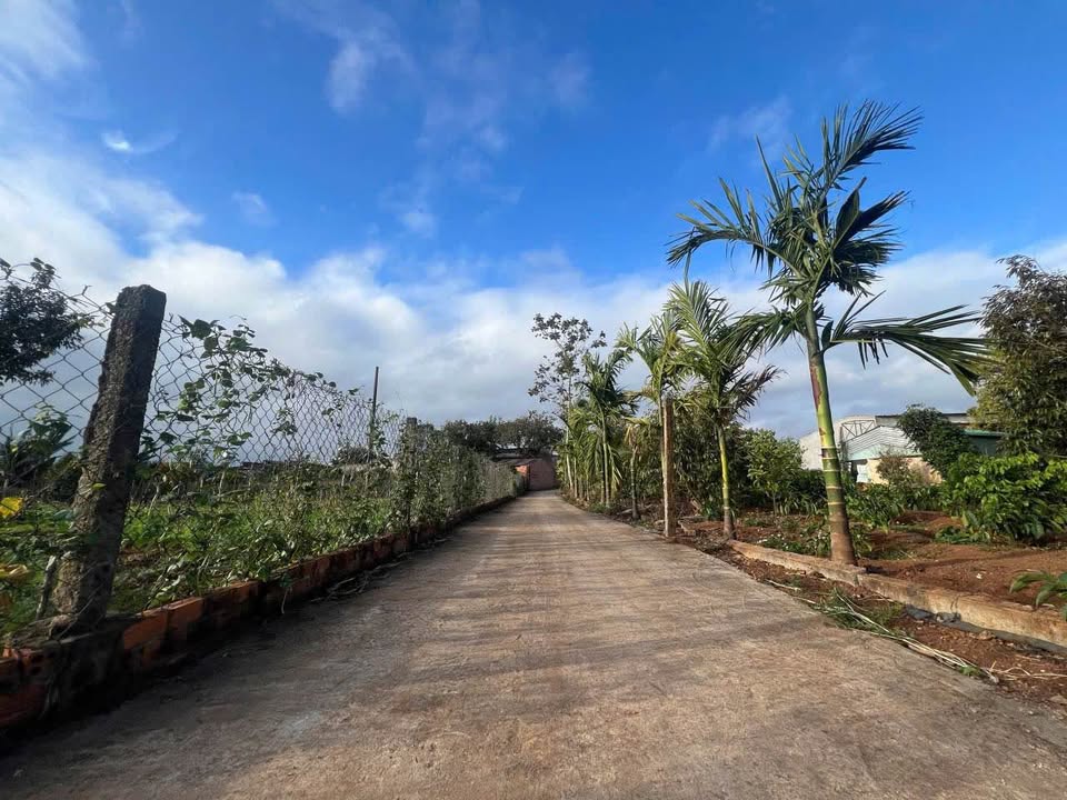 Đất thổ cư 175m² tại phường Ea Kao, Buôn Ma Thuột - Cơ hội đầu tư vàng giá chỉ 600 triệu!