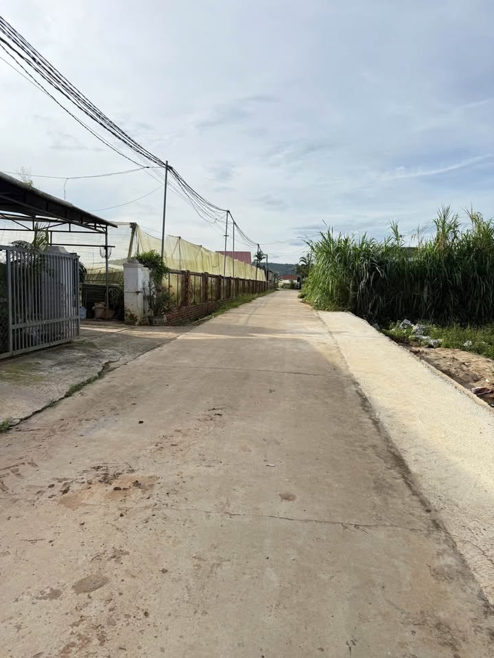 Đất nền Thạnh Mỹ Đơn Dương 168m² giá chỉ 695 triệu - Pháp lý rõ ràng, sẵn sàng đầu tư!