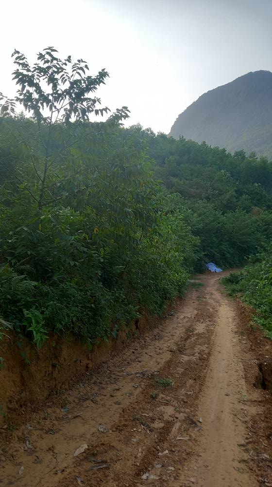 Đất nền Hùng Sơn Kim Bôi 4000m² giá chỉ 160 triệu - Cơ hội đầu tư tuyệt vời!