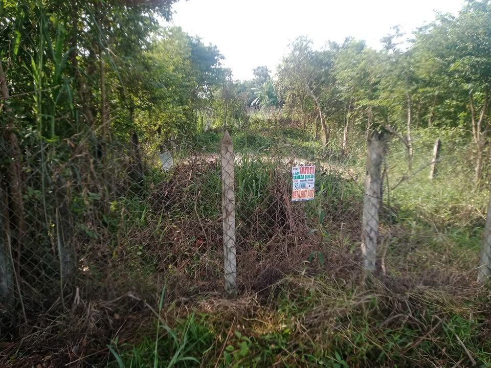 Đất thổ cư mặt tiền Thái Mỹ 161m² giá 1.35 tỷ - Cơ hội đầu tư hấp dẫn!