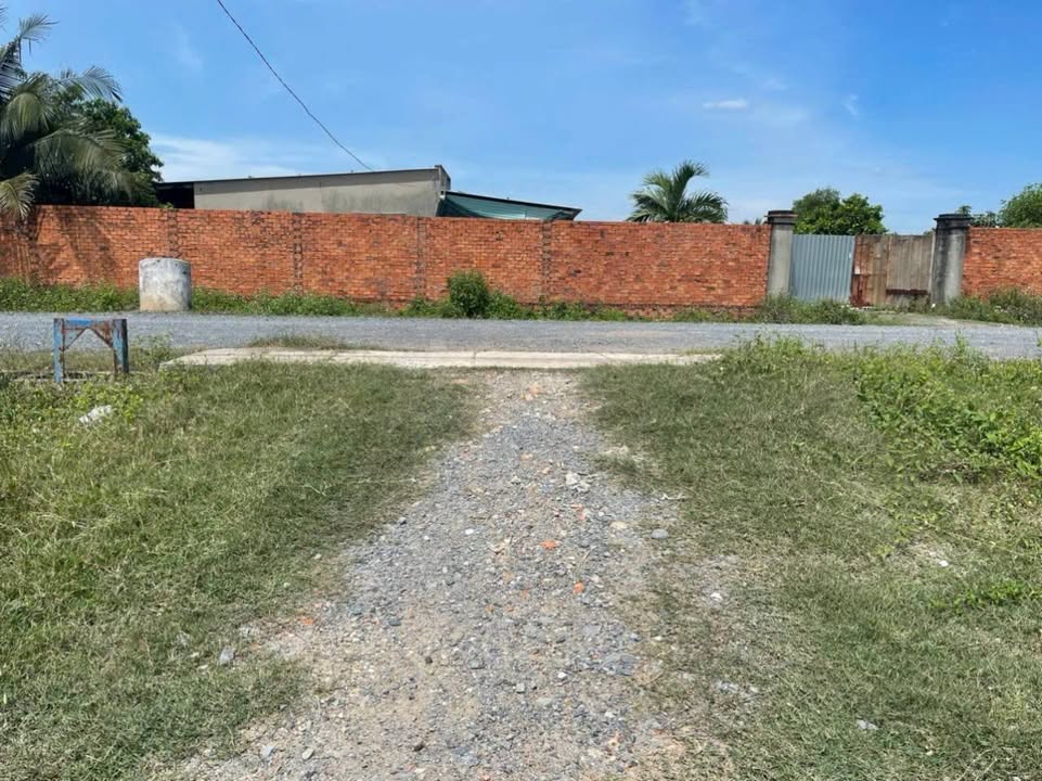 Đất trồng cây Nhuận Đức Củ Chi 500m² giá 699 triệu - Cơ hội đầu tư hấp dẫn!