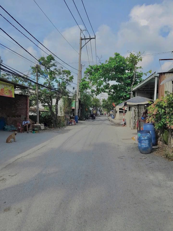 Nhà trọ Bình Mỹ, Củ Chi 677m² giá 11.5 tỷ - Đầu tư sinh lời cao!