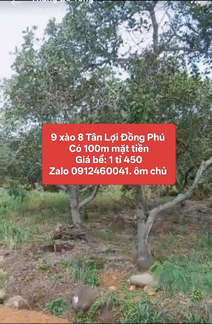 Đất nền Tân Lợi Đồng Phú 9800m² giá 1.45 tỷ - Cơ hội đầu tư hấp dẫn!