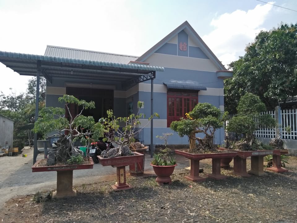 Nhà giả Thái Phú Trung 800m² giá 8.28 tỷ - Chính chủ sổ đỏ đầy đủ!