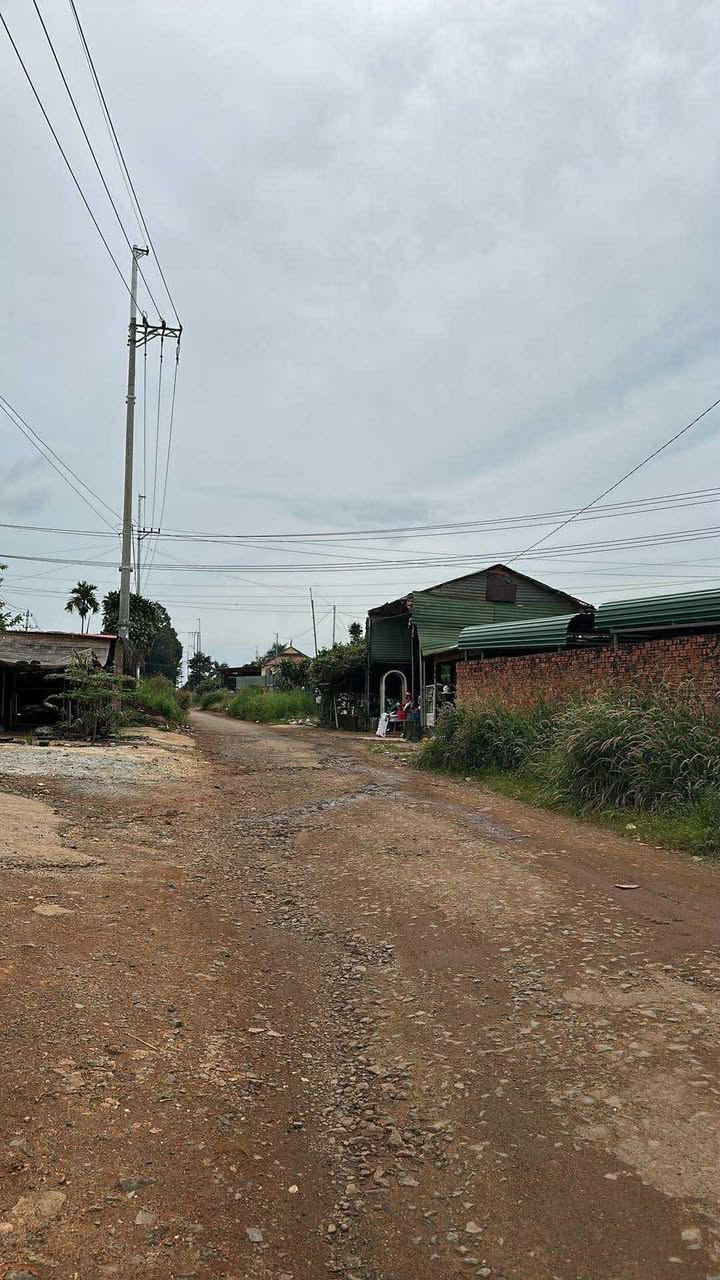 Đất thổ cư 1.3 sào đường Trần Quý Cáp, Tân Lập chỉ 6 tỷ - Cơ hội đầu tư tuyệt vời!