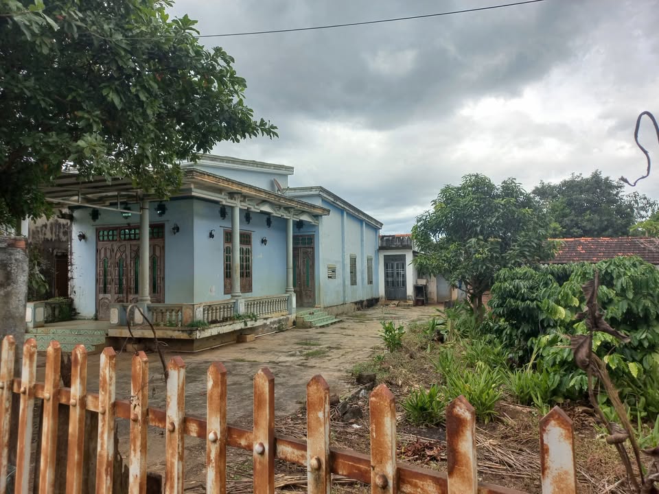 Đất chính chủ Cư Jút 2600m² - Đầu tư sinh lợi, tiện ích xung quanh đầy đủ!