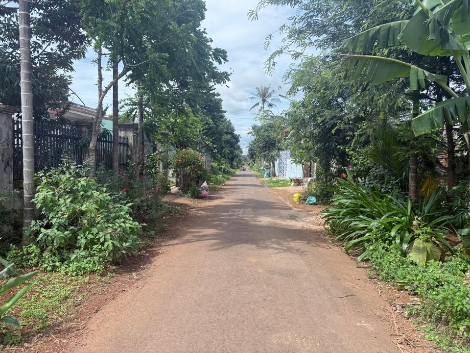 Đất nền 160m² đường K2, phường Tân An, Buôn Ma Thuột - Giá 1.99 tỷ, sổ hồng chính chủ!