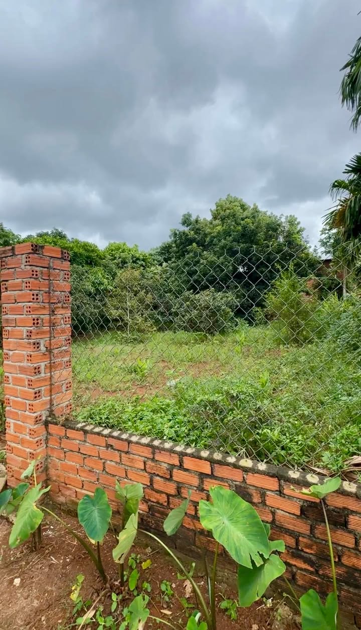 Đất nền Hòa Tiến 132m² giá 499 triệu - Cơ hội đầu tư tuyệt vời!