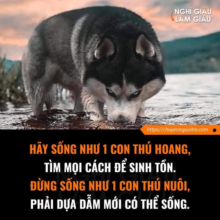 Đất nền dự án Cao Đức Vạn An, Bắc Ninh 80m² giá thỏa thuận - Vị trí đắc địa gần ngã 6