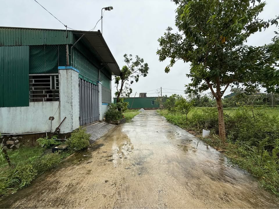 Đất nền Tân Lâm Hương, Thạch Hà 130m² giá 2 tỷ - Đường rộng thuận lợi