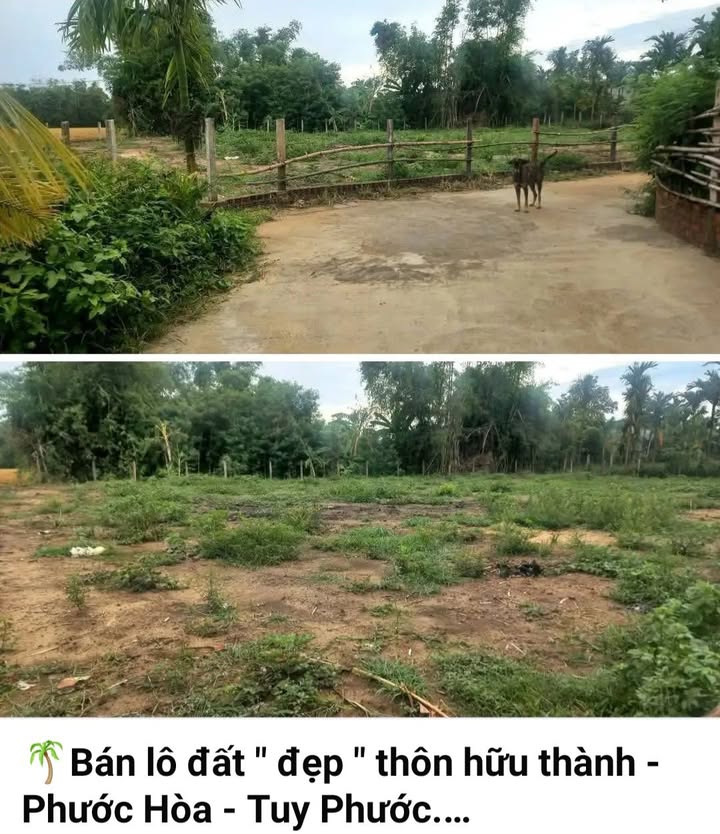 Đất nền Hữu Thành, Phước Hòa, Tuy Phước 150m² giá 300 triệu - Cơ hội đầu tư tốt!