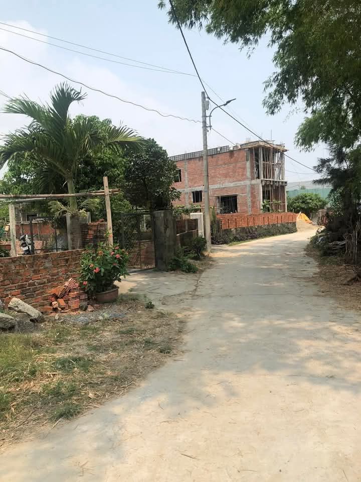 Đất nền Hòa Quý 100m² giá chỉ 30xx triệu - Hướng Đông, đường ô tô thông