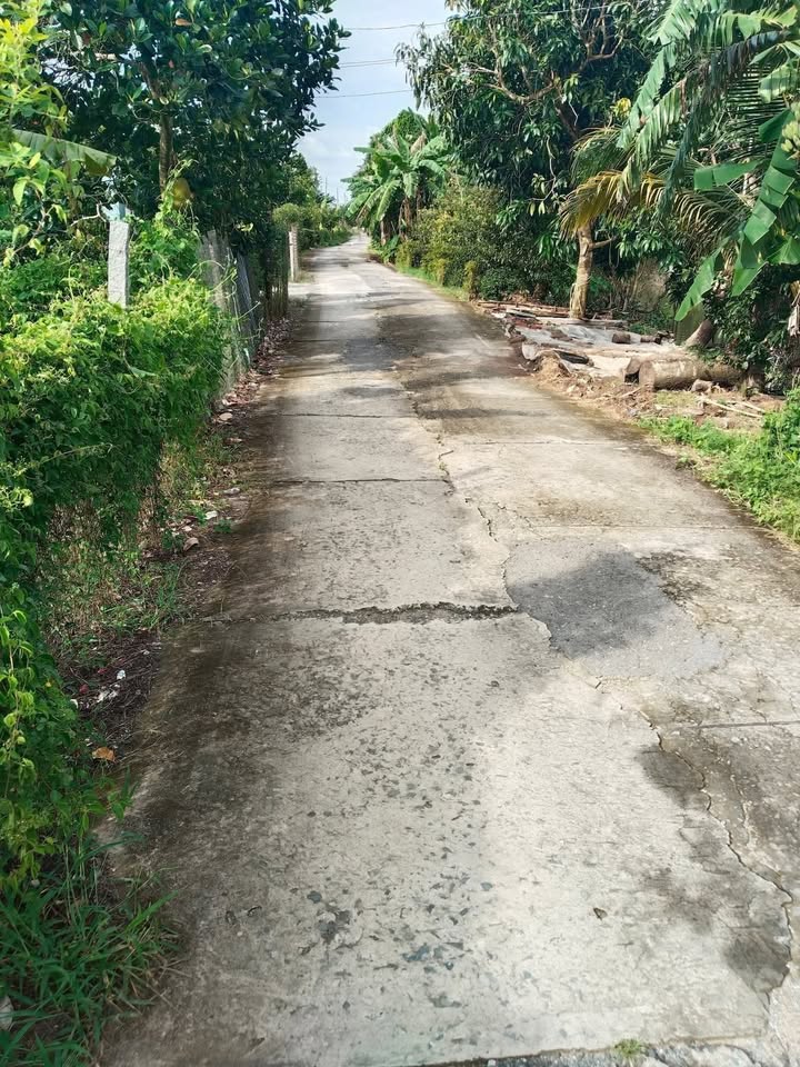 Farm cho thuê tại xã Thanh Mỹ, huyện Cái Bè, 5000m² - Giá chỉ 50 triệu/tháng!