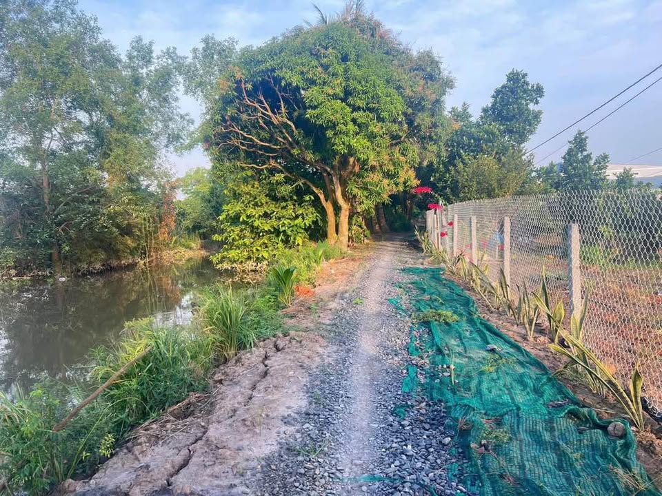 Đất nền mặt tiền lộ đá 9000m² xã Mỹ Thuận, Vĩnh Long - Giá chỉ 2.2 tỷ có thương lượng!