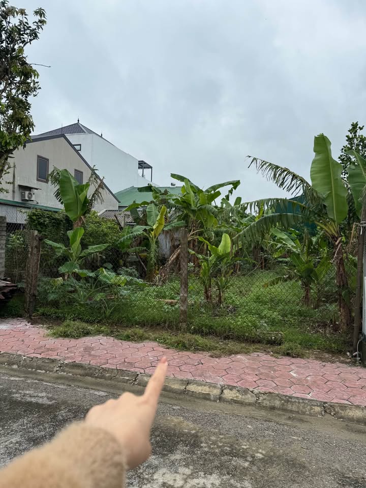 Đất tái định cư Xuân Đồng - Nghi Đức, 150m² giá 4.9 tỷ - Hàng hiếm chờ chủ mới!