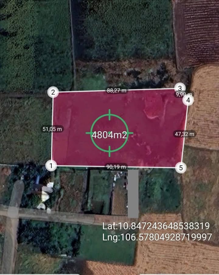 Đất nông nghiệp 4800m² xã Bà Điểm, Hóc Môn - Giá 13.44 tỷ, cơ hội đầu tư hấp dẫn!