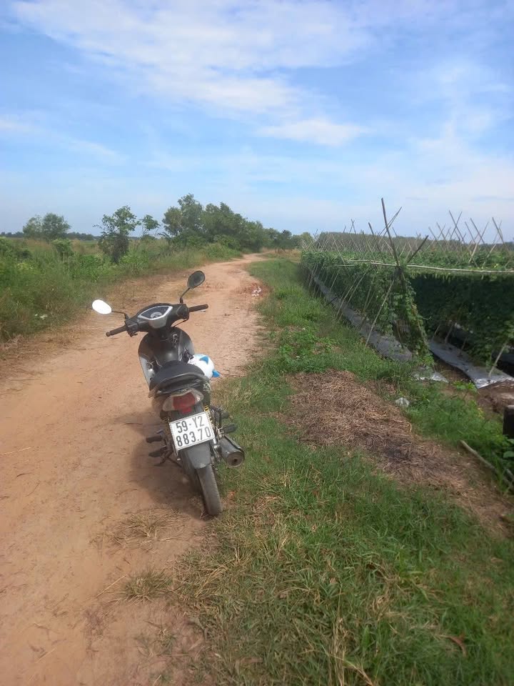 Đất nền xã An Nhơn Tây 6242m² giá 6.242 tỷ - Cơ hội đầu tư hấp dẫn!