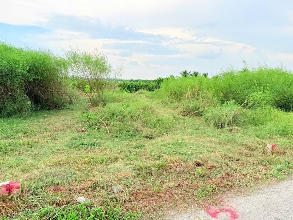 Đất nền Tân Bình, Tân Trụ, Long An 135m² giá 379 triệu - Sổ đỏ chính chủ!