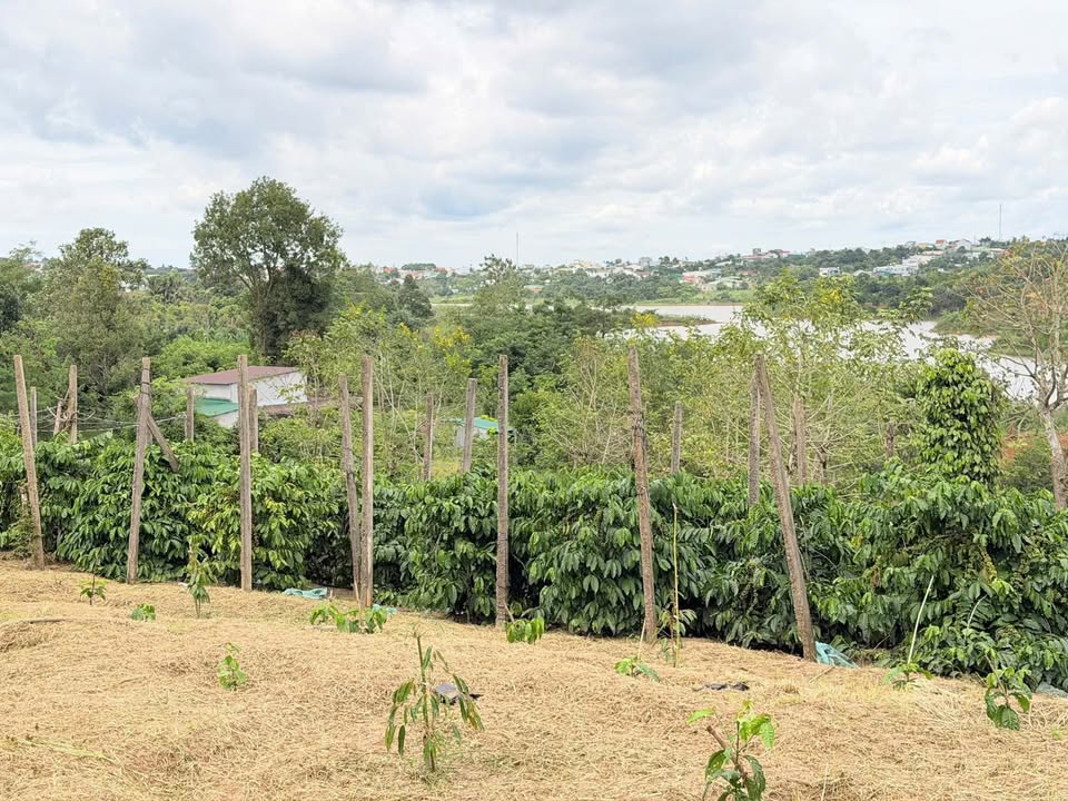 Đất nền Ea Drăng, Đắk Lắk 4.700m² giá 3.99 tỷ - Vị trí đắc địa view hồ sinh thái!