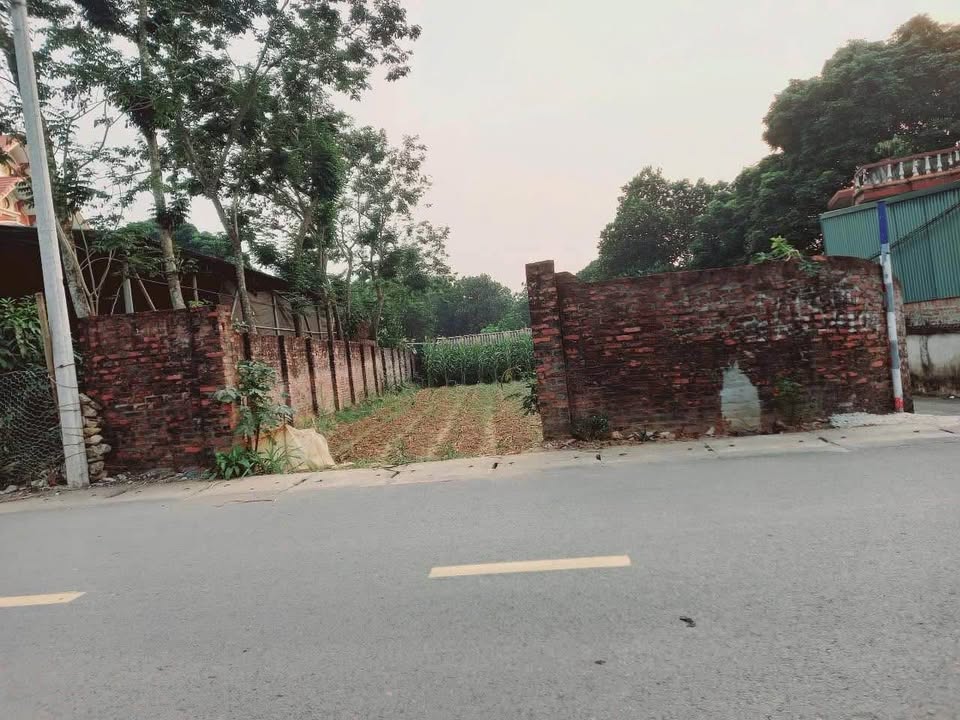 Đất lô góc mặt đường nhựa Minh Quang, Ba Vì 282m² giá 2 tỷ - Cơ hội đầu tư hấp dẫn!