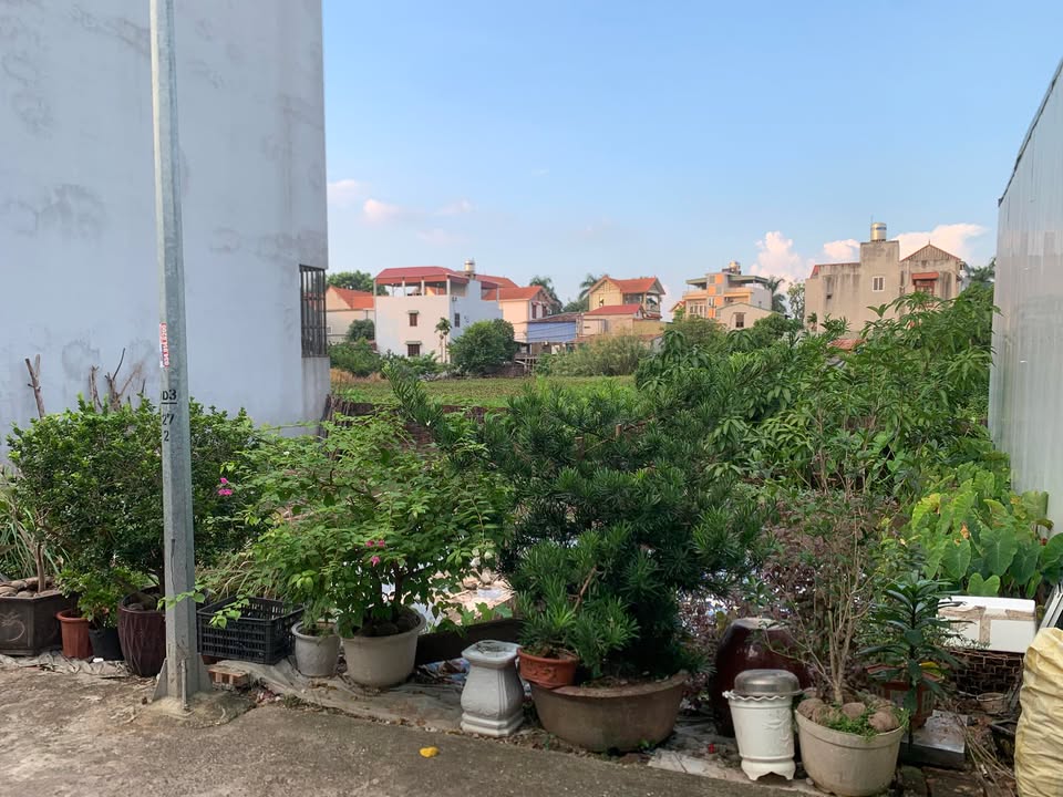 Đất vườn Đa Tốn Gia Lâm 51m² giá chỉ 4.9 tỷ - Đầu tư thông minh!