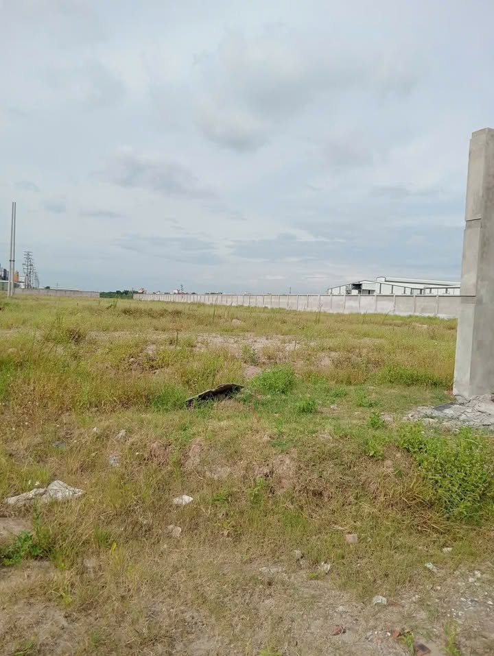 Đất thương mại dịch vụ Văn Giang 2.3ha giá thỏa thuận - Cơ hội đầu tư không thể bỏ lỡ!