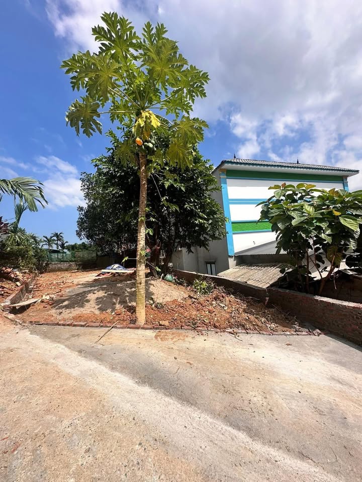 Đất thổ cư Tiến Xuân 150m² giá chỉ 2 tỷ - Tiềm năng tăng giá mạnh!